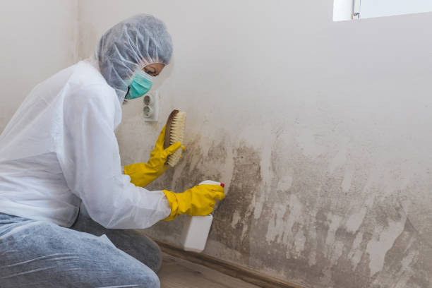 Best Mold Removal for HVAC Installations  in Crandon Lakes, NJ