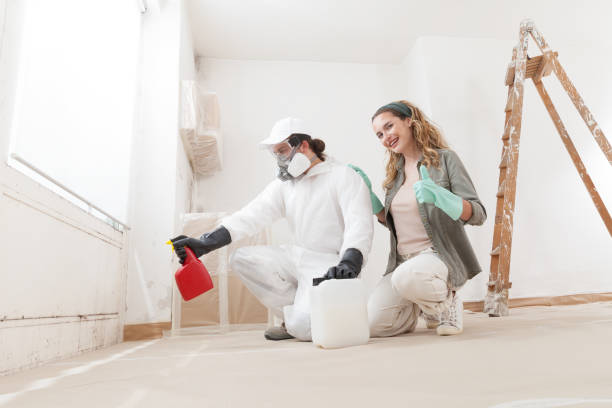 Best Black Mold Removal  in Crandon Lakes, NJ